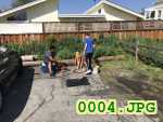Picture 0004