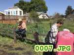 Picture 0007