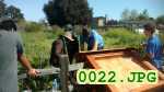 Picture 0022