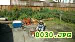 Picture 0030