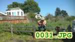 Picture 0031