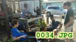 Picture 0034