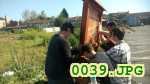 Picture 0039