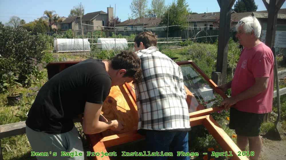 Picture 0016