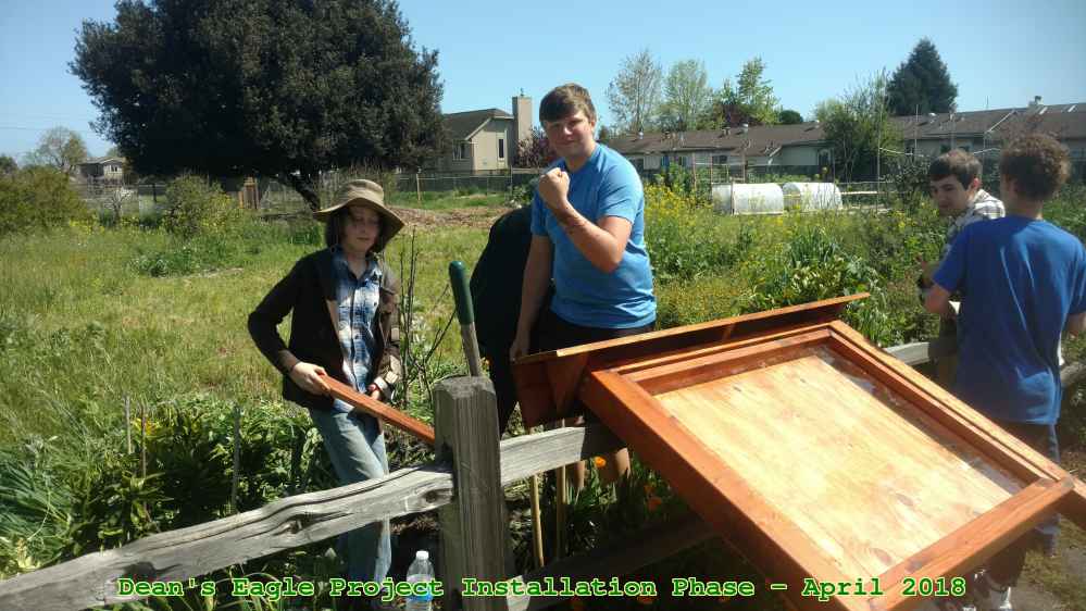Picture 0021
