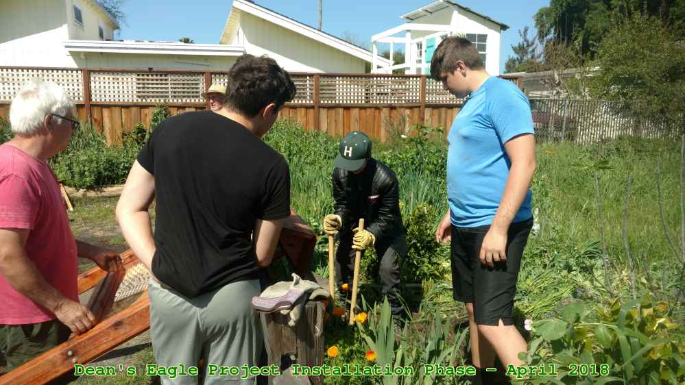 Picture 0024