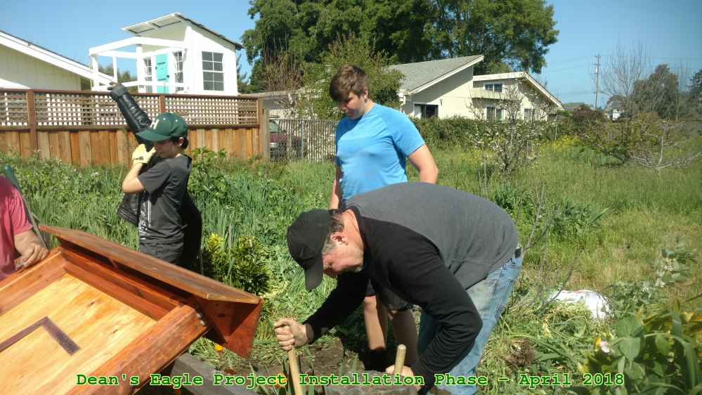Picture 0027