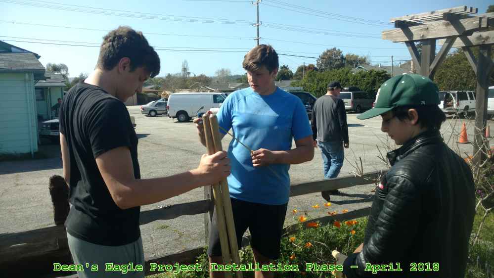 Picture 0033