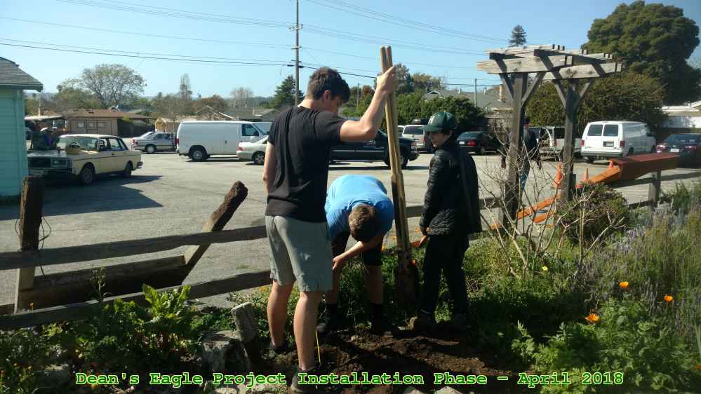 Picture 0035