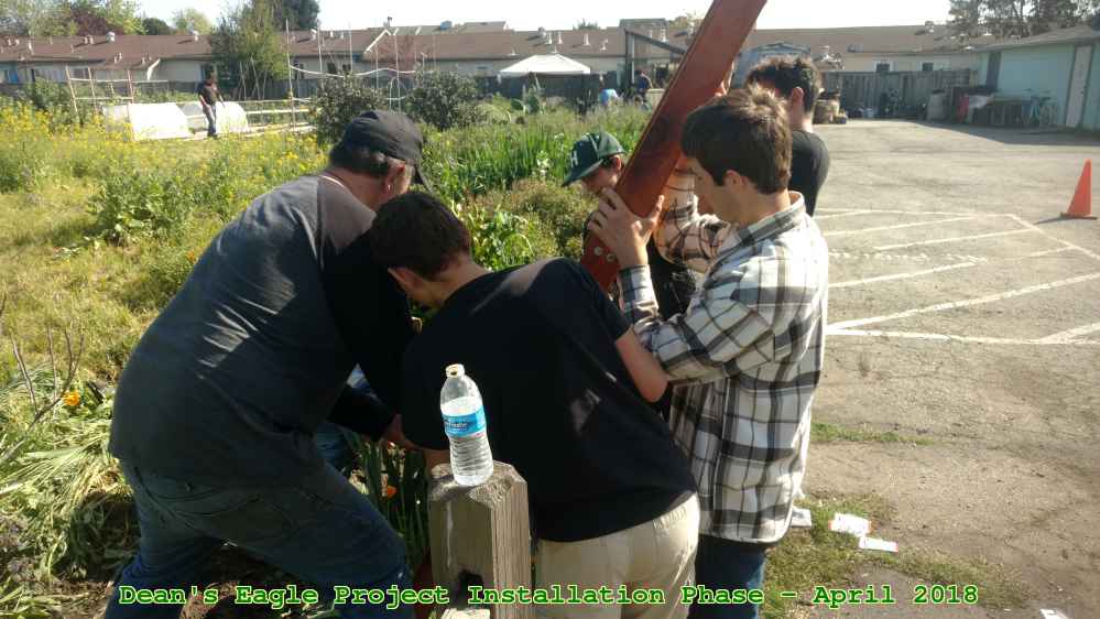 Picture 0038