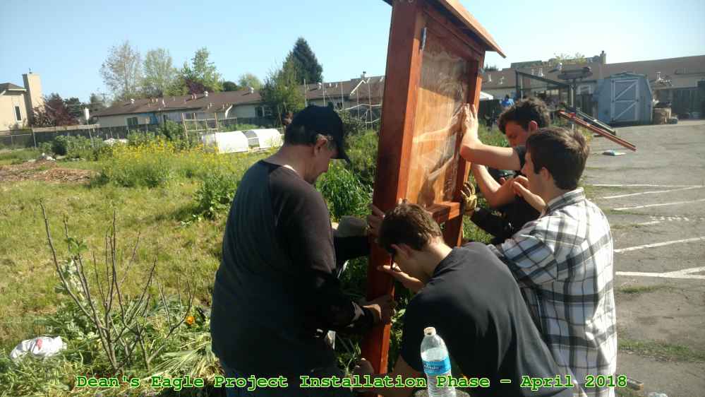 Picture 0039