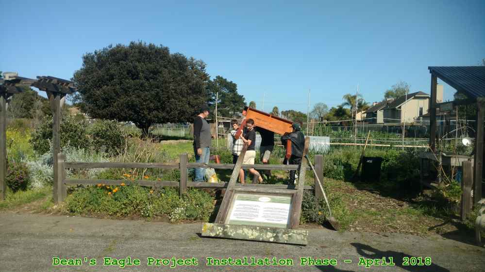 Picture 0045