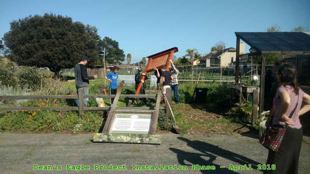 Picture 0046