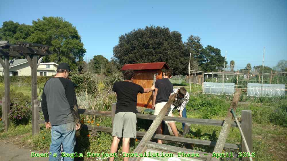 Picture 0048