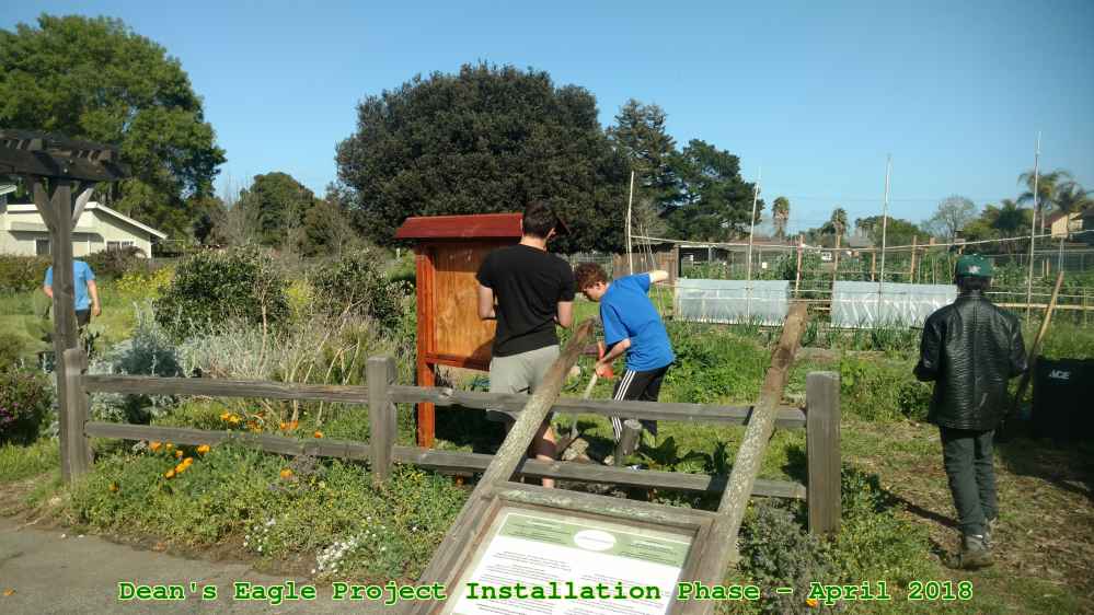 Picture 0049