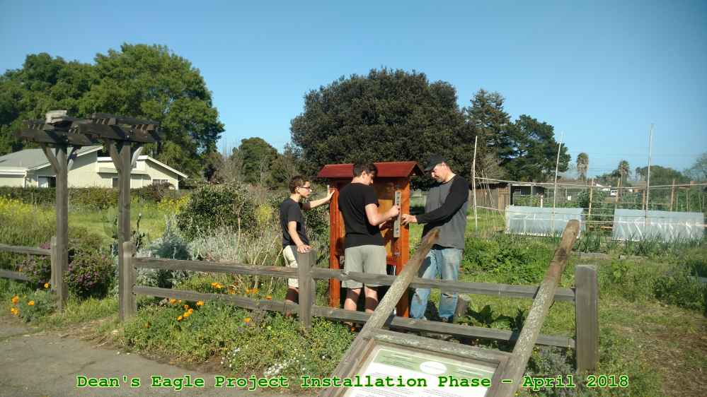 Picture 0050