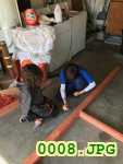 Picture 0008