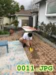 Picture 0011