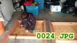 Picture 0024