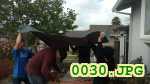 Picture 0030