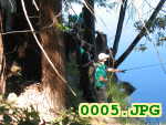 Picture 0005