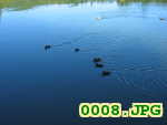 Picture 0008