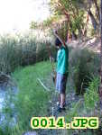 Picture 0014