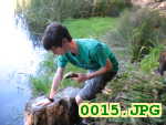 Picture 0015