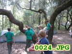 Picture 0024