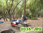 Picture 0036