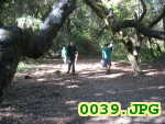 Picture 0039