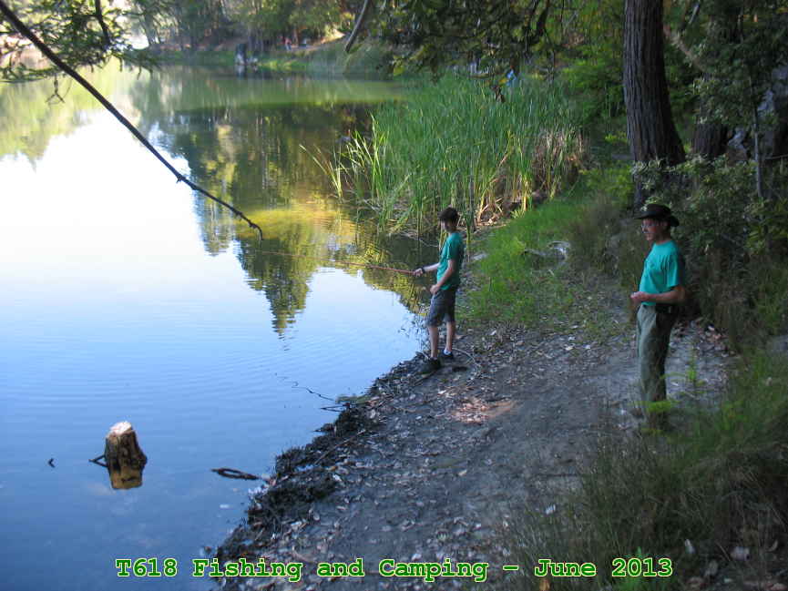 Picture 0004
