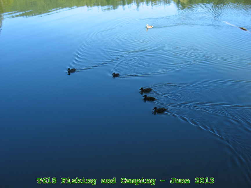 Picture 0008