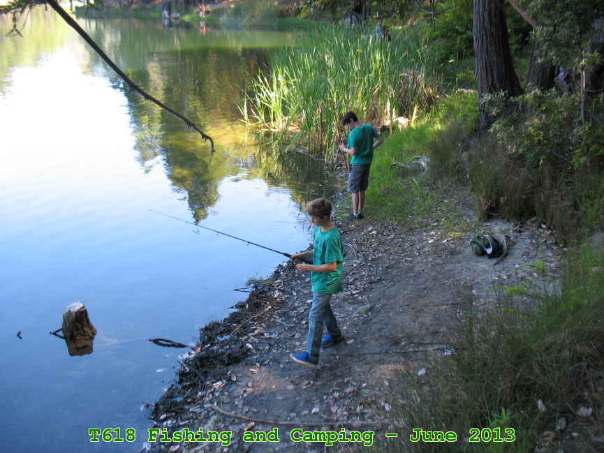 Picture 0009