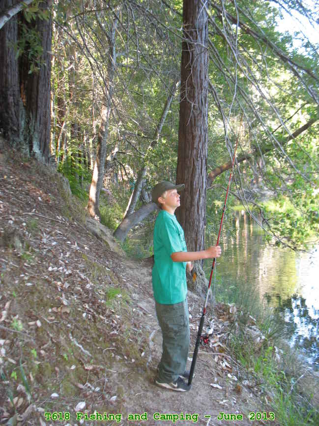 Picture 0011
