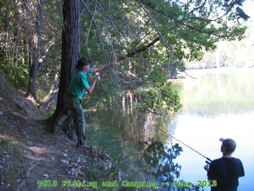 Picture 0012