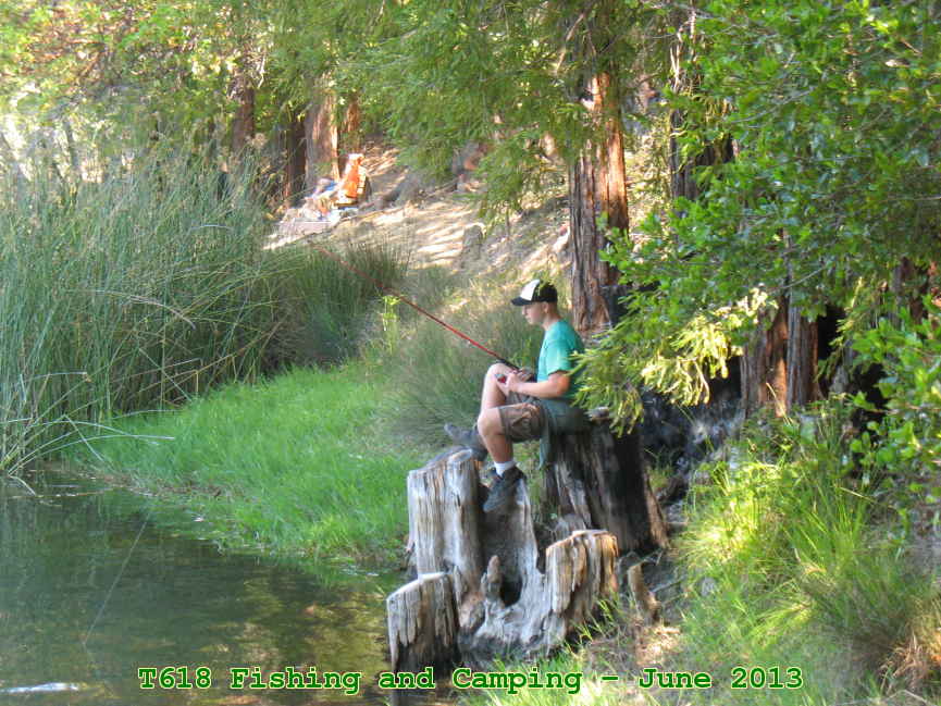 Picture 0013