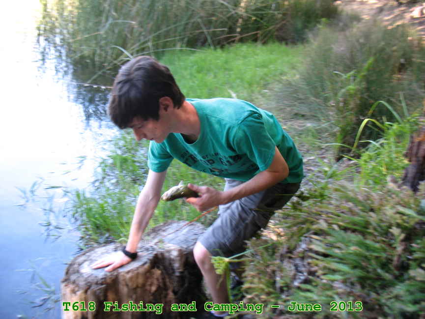 Picture 0015