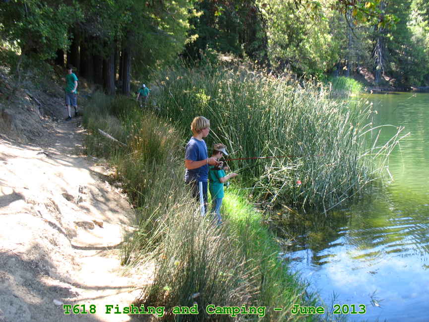 Picture 0017