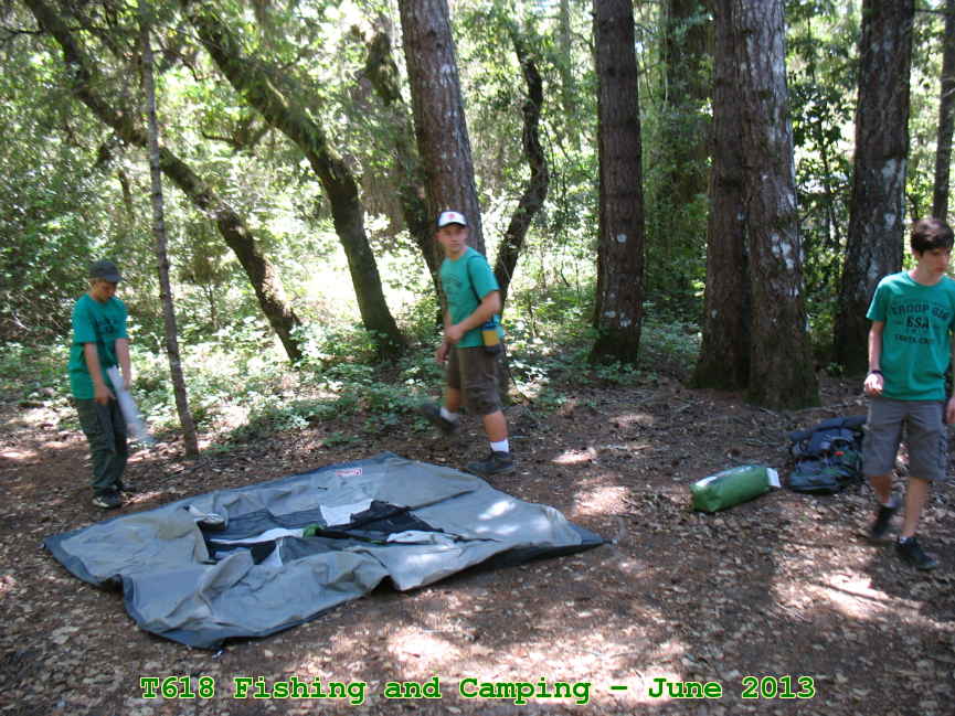 Picture 0020