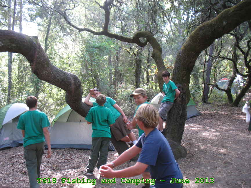 Picture 0024
