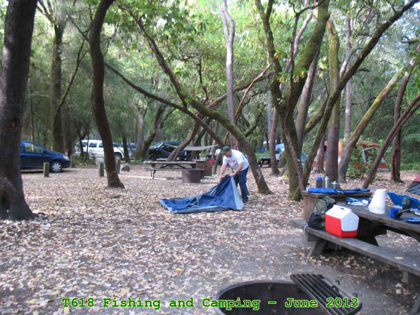 Picture 0037