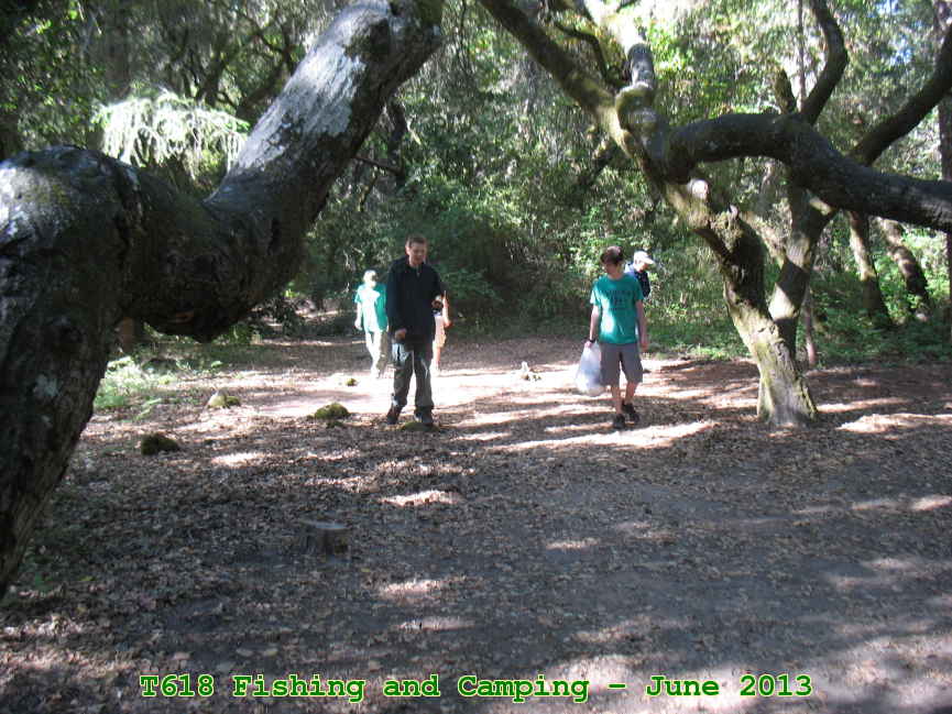Picture 0039