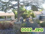 Picture 0002
