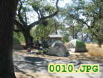 Picture 0010