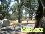 Picture 0012
