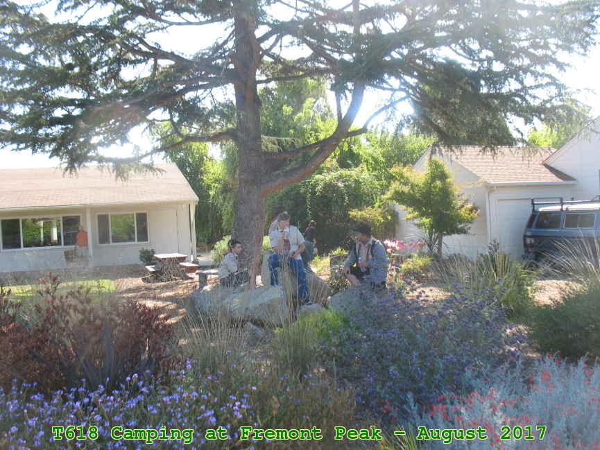 Picture 0002