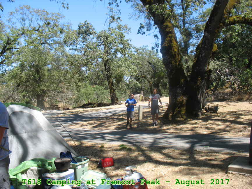 Picture 0006