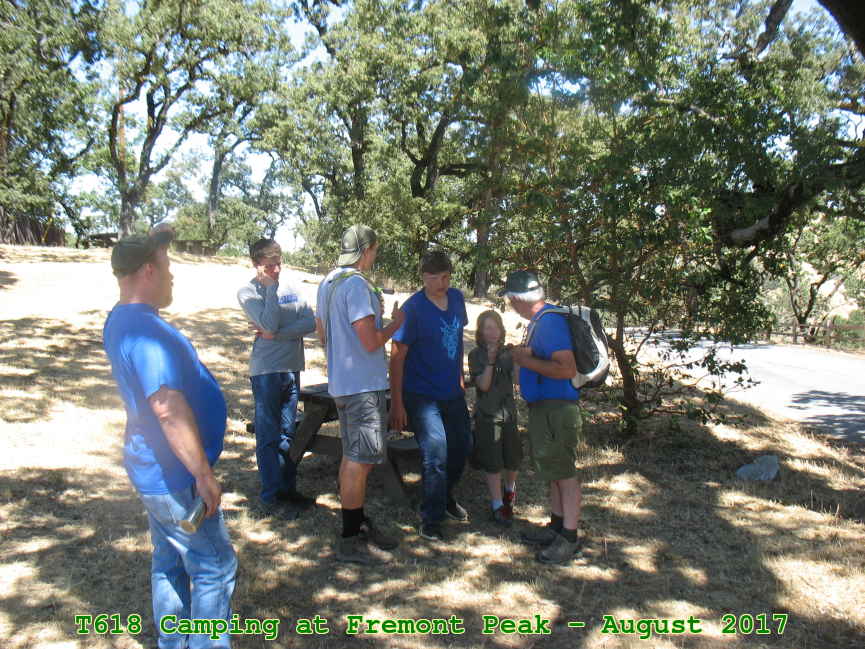 Picture 0009