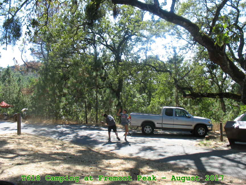 Picture 0011